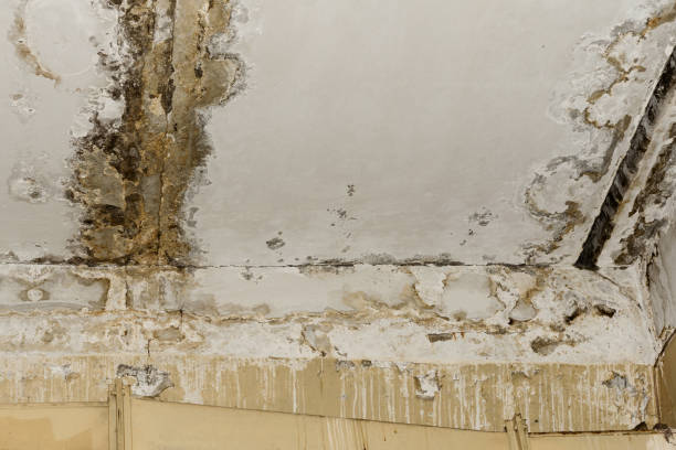 Best Water damage restoration insurance claims  in West Reading, PA